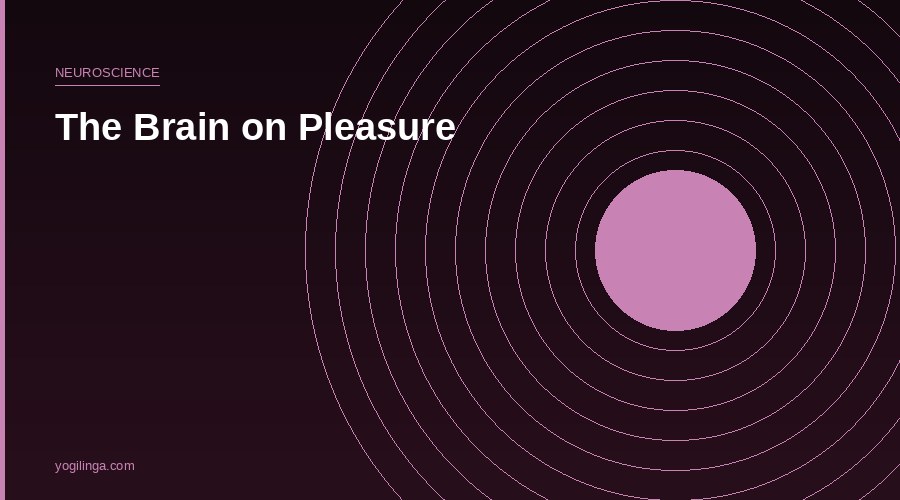 What Happens to Your Brain During Orgasm — What the Science Actually Says