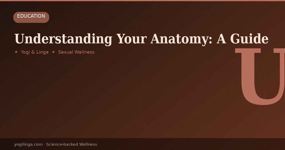 Clitoral Anatomy Explained: What Most People Were Never Taught